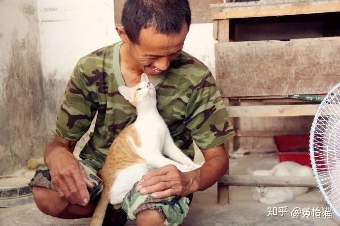 淘宝几块钱一斤的猫粮是哪些人在买