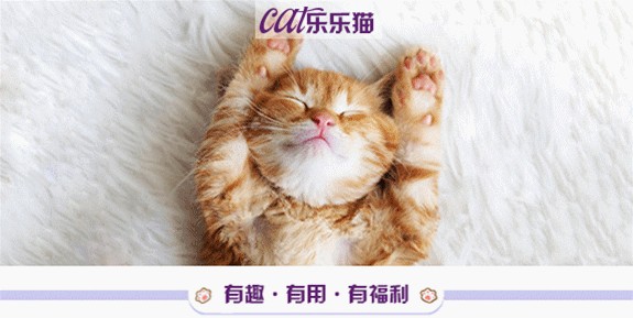 周震南被猫咬！！原来不是所有的猫咪都温顺...