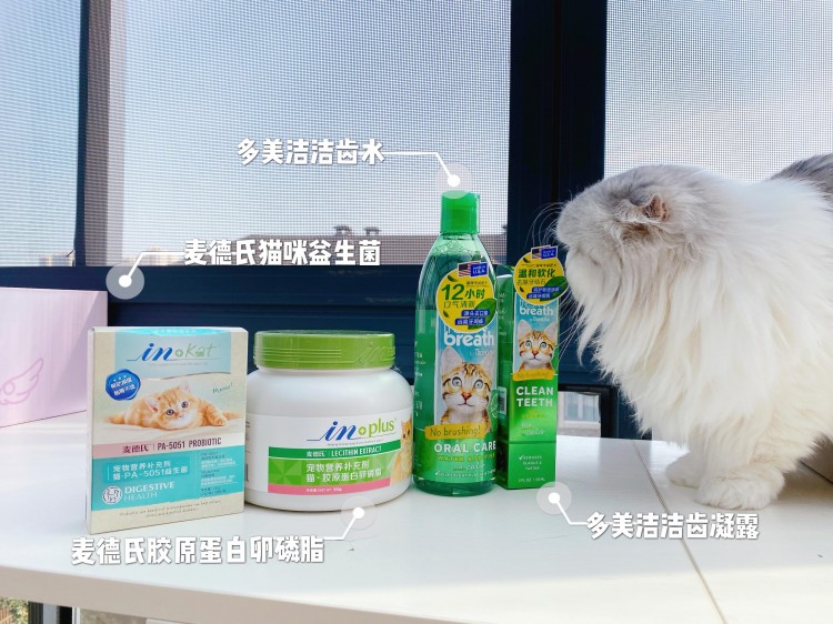 猫咪的口腔健康护理难？只需要这两步，24小时贴心照顾